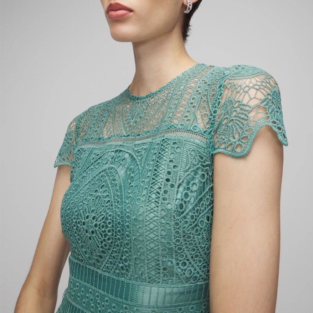 WHBM EMBROIDERED LACE FIT & FLARE DRESS - Picture 4 of 13
